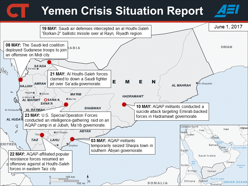 2017 06 01 yemen sitrep